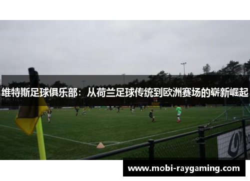 维特斯足球俱乐部：从荷兰足球传统到欧洲赛场的崭新崛起