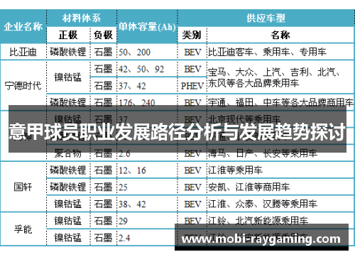 意甲球员职业发展路径分析与发展趋势探讨