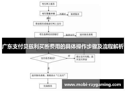 广东支付贝兹利买断费用的具体操作步骤及流程解析