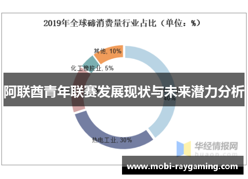 阿联酋青年联赛发展现状与未来潜力分析